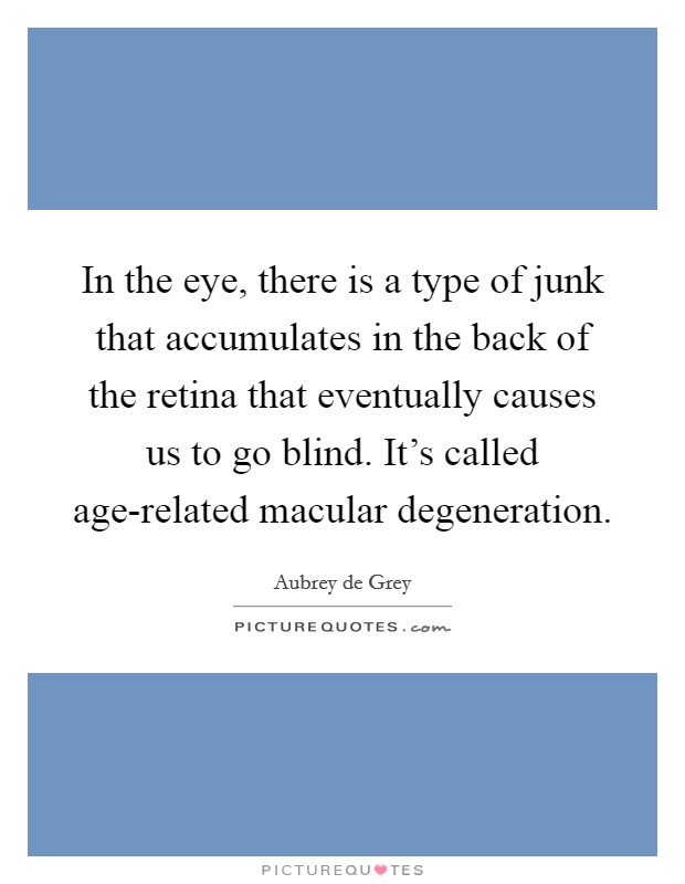 In the eye, there is a type of junk that accumulates in the back of the retina that eventually causes us to go blind. It's called age-related macular degeneration Picture Quote #1