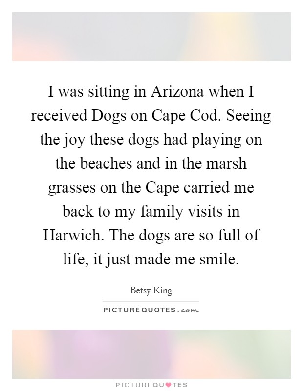 I was sitting in Arizona when I received Dogs on Cape Cod. Seeing the joy these dogs had playing on the beaches and in the marsh grasses on the Cape carried me back to my family visits in Harwich. The dogs are so full of life, it just made me smile Picture Quote #1