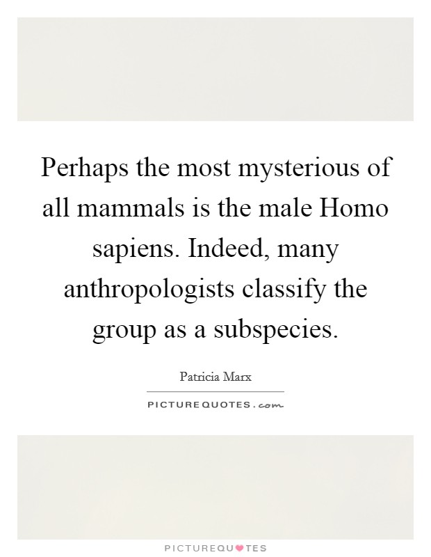 Perhaps the most mysterious of all mammals is the male Homo sapiens. Indeed, many anthropologists classify the group as a subspecies Picture Quote #1