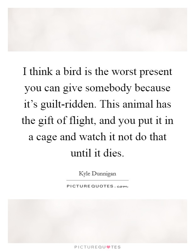 I think a bird is the worst present you can give somebody because it's guilt-ridden. This animal has the gift of flight, and you put it in a cage and watch it not do that until it dies Picture Quote #1