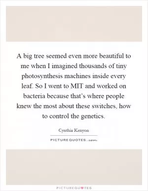 A big tree seemed even more beautiful to me when I imagined thousands of tiny photosynthesis machines inside every leaf. So I went to MIT and worked on bacteria because that’s where people knew the most about these switches, how to control the genetics Picture Quote #1