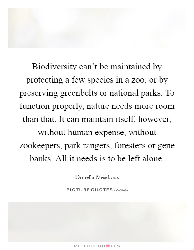 Biodiversity can't be maintained by protecting a few species in a zoo, or by preserving greenbelts or national parks. To function properly, nature needs more room than that. It can maintain itself, however, without human expense, without zookeepers, park rangers, foresters or gene banks. All it needs is to be left alone Picture Quote #1