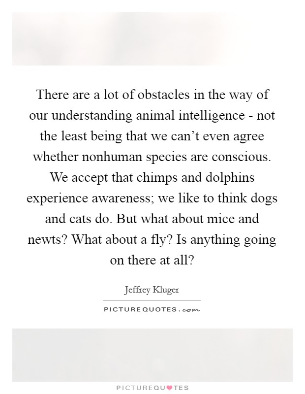 There are a lot of obstacles in the way of our understanding animal intelligence - not the least being that we can't even agree whether nonhuman species are conscious. We accept that chimps and dolphins experience awareness; we like to think dogs and cats do. But what about mice and newts? What about a fly? Is anything going on there at all? Picture Quote #1