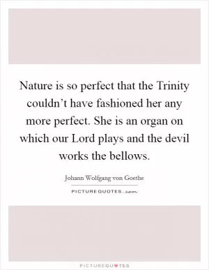 Nature is so perfect that the Trinity couldn’t have fashioned her any more perfect. She is an organ on which our Lord plays and the devil works the bellows Picture Quote #1