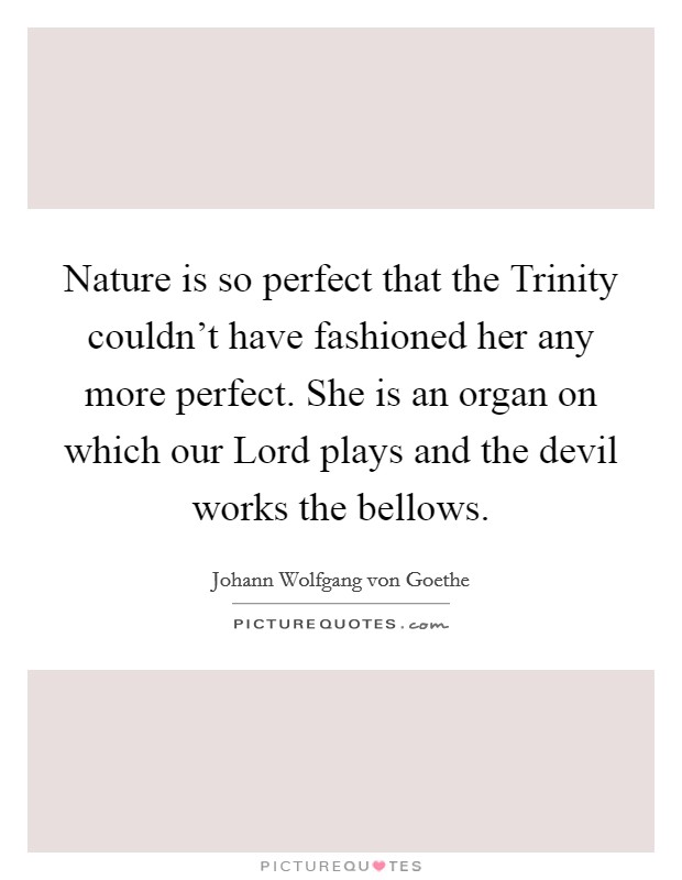 Nature is so perfect that the Trinity couldn't have fashioned her any more perfect. She is an organ on which our Lord plays and the devil works the bellows Picture Quote #1