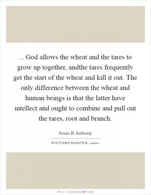 ... God allows the wheat and the tares to grow up together, andthe tares frequently get the start of the wheat and kill it out. The only difference between the wheat and human beings is that the latter have intellect and ought to combine and pull out the tares, root and branch Picture Quote #1