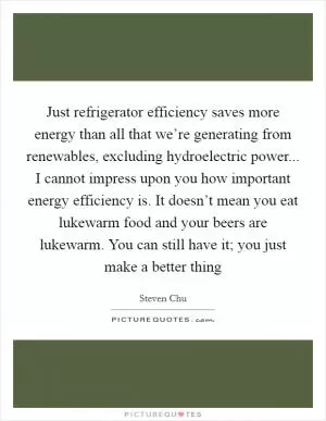 Just refrigerator efficiency saves more energy than all that we’re generating from renewables, excluding hydroelectric power... I cannot impress upon you how important energy efficiency is. It doesn’t mean you eat lukewarm food and your beers are lukewarm. You can still have it; you just make a better thing Picture Quote #1