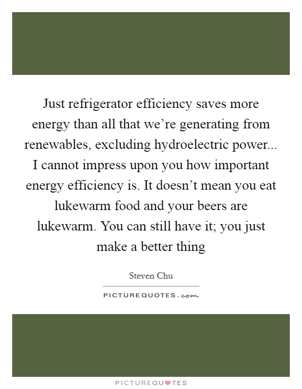 Just refrigerator efficiency saves more energy than all that we're generating from renewables, excluding hydroelectric power... I cannot impress upon you how important energy efficiency is. It doesn't mean you eat lukewarm food and your beers are lukewarm. You can still have it; you just make a better thing Picture Quote #1