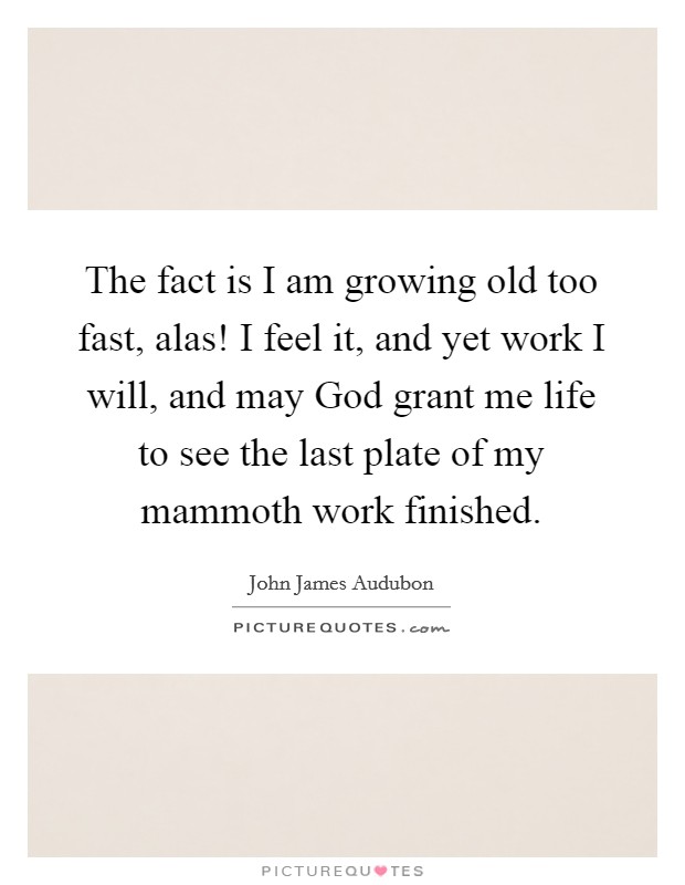 The fact is I am growing old too fast, alas! I feel it, and yet work I will, and may God grant me life to see the last plate of my mammoth work finished Picture Quote #1
