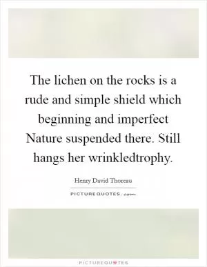 The lichen on the rocks is a rude and simple shield which beginning and imperfect Nature suspended there. Still hangs her wrinkledtrophy Picture Quote #1
