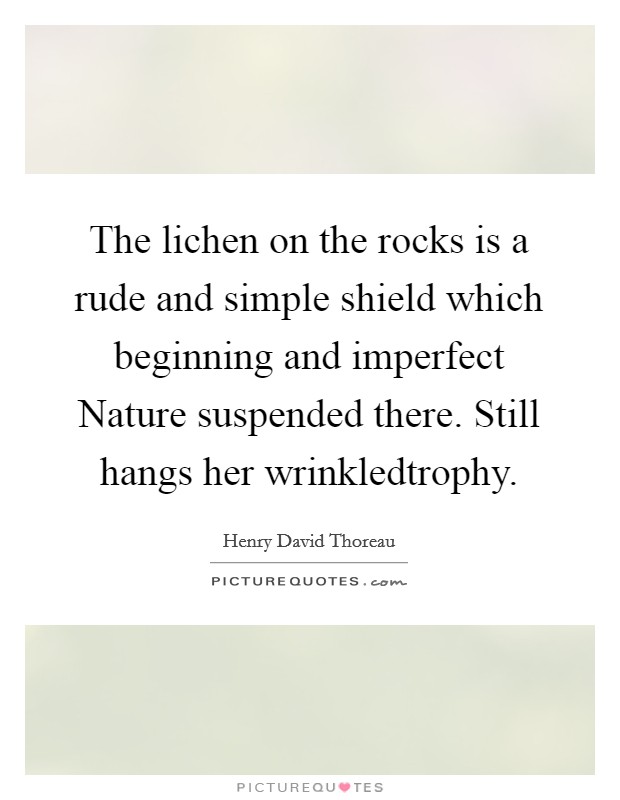 The lichen on the rocks is a rude and simple shield which beginning and imperfect Nature suspended there. Still hangs her wrinkledtrophy Picture Quote #1