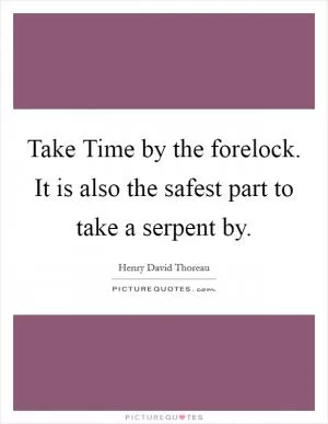 Take Time by the forelock. It is also the safest part to take a serpent by Picture Quote #1