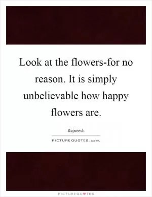 Look at the flowers-for no reason. It is simply unbelievable how happy flowers are Picture Quote #1