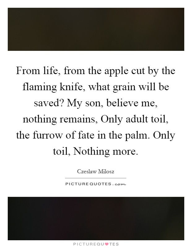 From life, from the apple cut by the flaming knife, what grain will be saved? My son, believe me, nothing remains, Only adult toil, the furrow of fate in the palm. Only toil, Nothing more Picture Quote #1