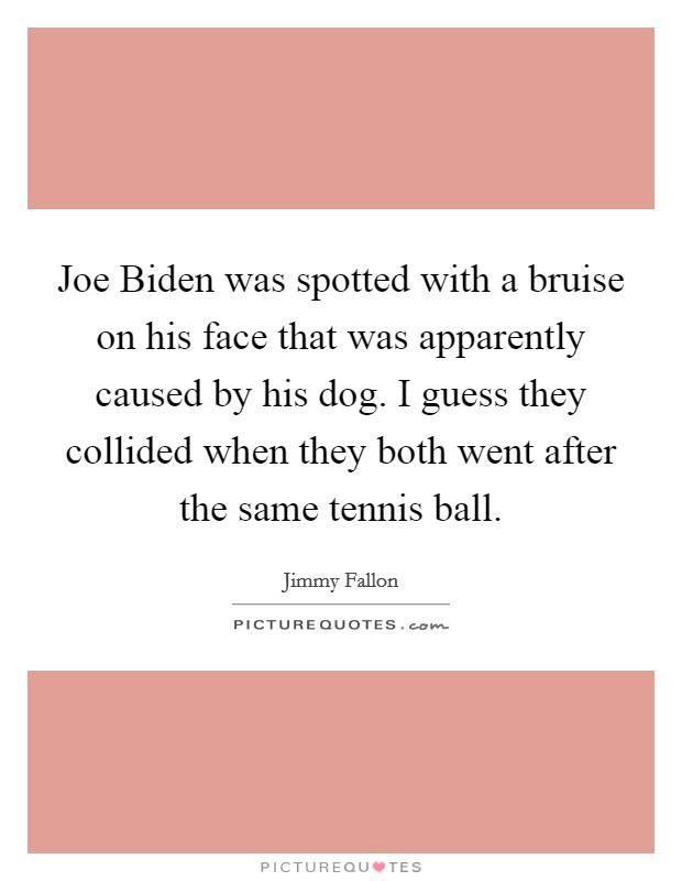 Joe Biden was spotted with a bruise on his face that was apparently caused by his dog. I guess they collided when they both went after the same tennis ball Picture Quote #1