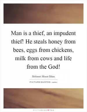 Man is a thief, an impudent thief! He steals honey from bees, eggs from chickens, milk from cows and life from the God! Picture Quote #1