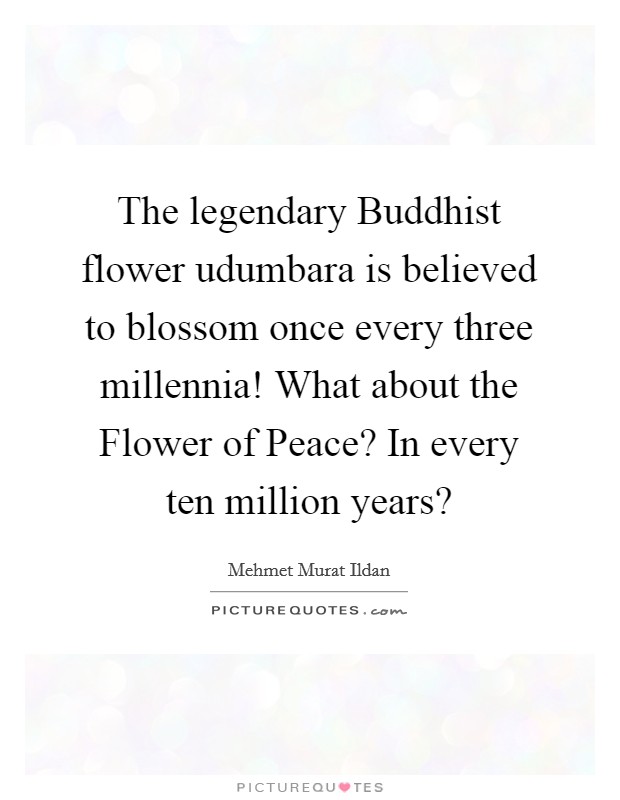 The legendary Buddhist flower udumbara is believed to blossom once every three millennia! What about the Flower of Peace? In every ten million years? Picture Quote #1