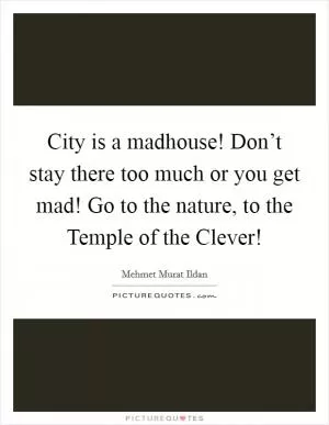 City is a madhouse! Don’t stay there too much or you get mad! Go to the nature, to the Temple of the Clever! Picture Quote #1
