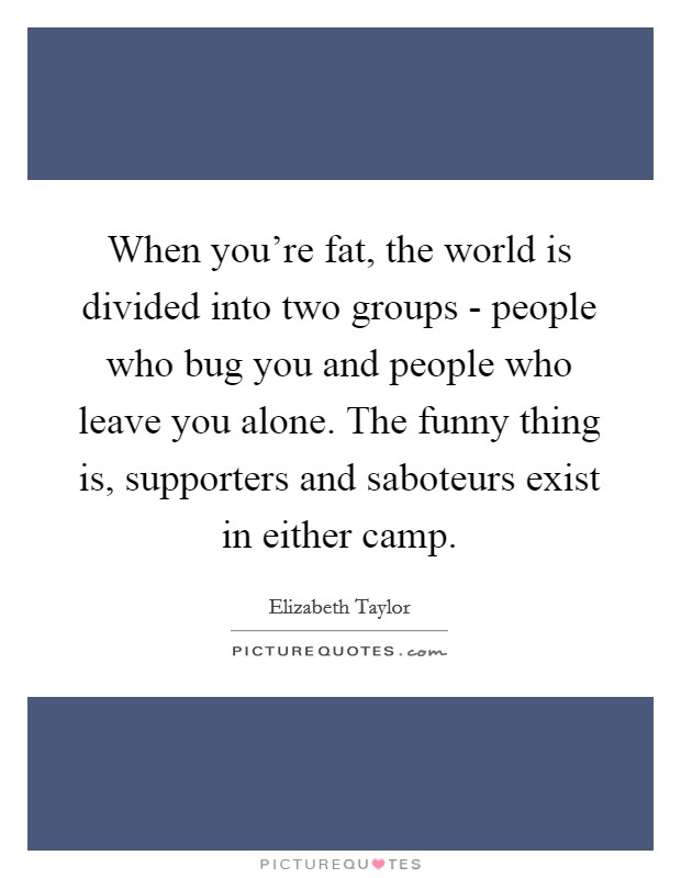When you're fat, the world is divided into two groups - people who bug you and people who leave you alone. The funny thing is, supporters and saboteurs exist in either camp Picture Quote #1
