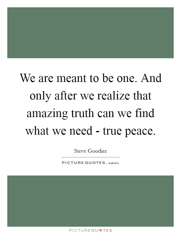 We are meant to be one. And only after we realize that amazing truth can we find what we need - true peace Picture Quote #1