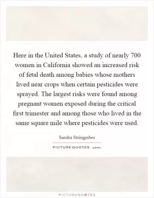 Here in the United States, a study of nearly 700 women in California showed an increased risk of fetal death among babies whose mothers lived near crops when certain pesticides were sprayed. The largest risks were found among pregnant women exposed during the critical first trimester and among those who lived in the same square mile where pesticides were used Picture Quote #1
