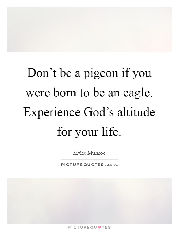 Don't be a pigeon if you were born to be an eagle. Experience God's altitude for your life Picture Quote #1
