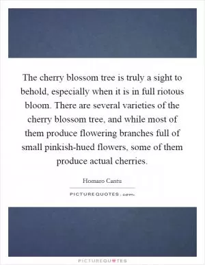 The cherry blossom tree is truly a sight to behold, especially when it is in full riotous bloom. There are several varieties of the cherry blossom tree, and while most of them produce flowering branches full of small pinkish-hued flowers, some of them produce actual cherries Picture Quote #1