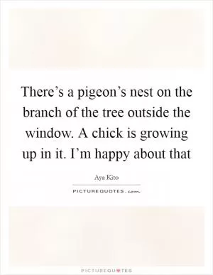 There’s a pigeon’s nest on the branch of the tree outside the window. A chick is growing up in it. I’m happy about that Picture Quote #1