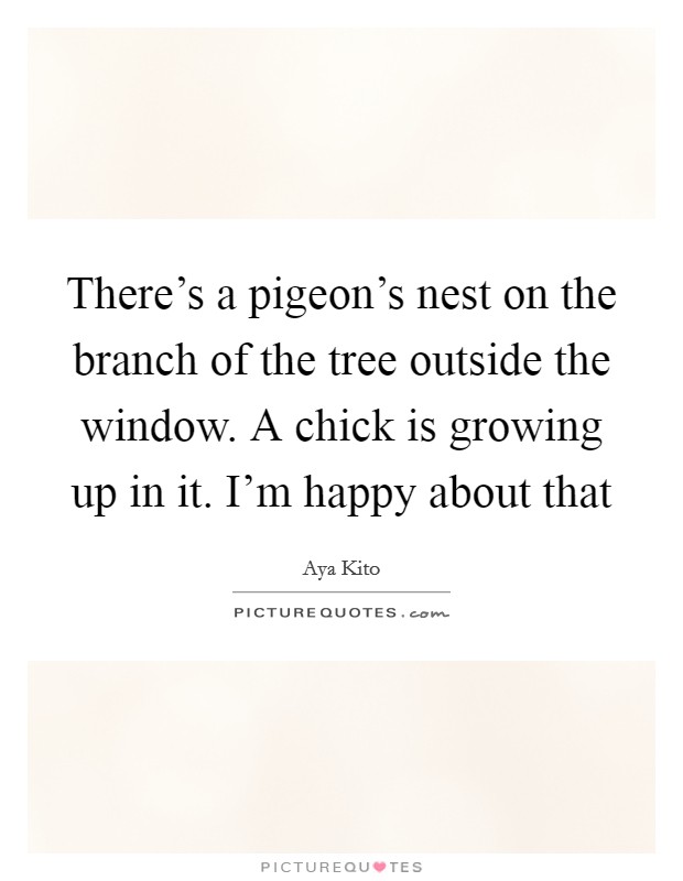 There's a pigeon's nest on the branch of the tree outside the window. A chick is growing up in it. I'm happy about that Picture Quote #1