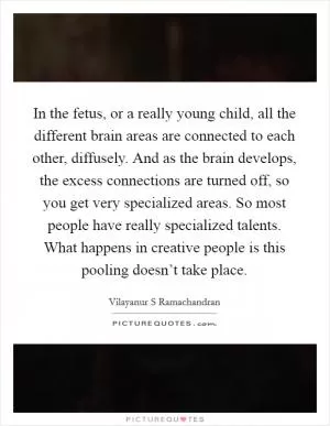 In the fetus, or a really young child, all the different brain areas are connected to each other, diffusely. And as the brain develops, the excess connections are turned off, so you get very specialized areas. So most people have really specialized talents. What happens in creative people is this pooling doesn’t take place Picture Quote #1