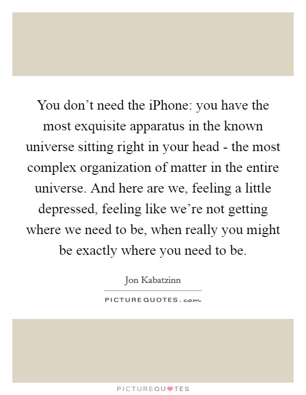 You don't need the iPhone: you have the most exquisite apparatus in the known universe sitting right in your head - the most complex organization of matter in the entire universe. And here are we, feeling a little depressed, feeling like we're not getting where we need to be, when really you might be exactly where you need to be Picture Quote #1