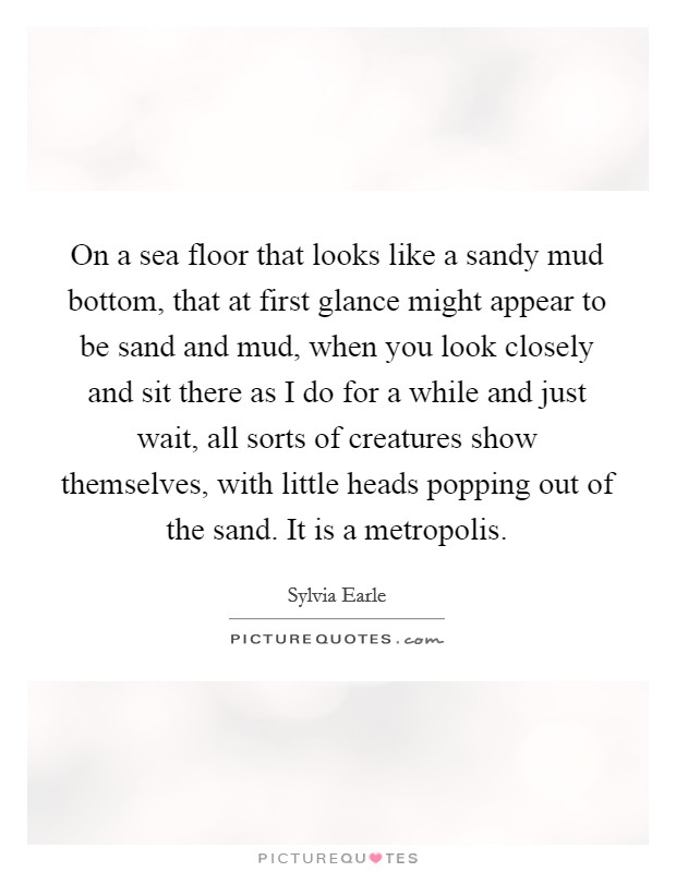 On a sea floor that looks like a sandy mud bottom, that at first glance might appear to be sand and mud, when you look closely and sit there as I do for a while and just wait, all sorts of creatures show themselves, with little heads popping out of the sand. It is a metropolis Picture Quote #1