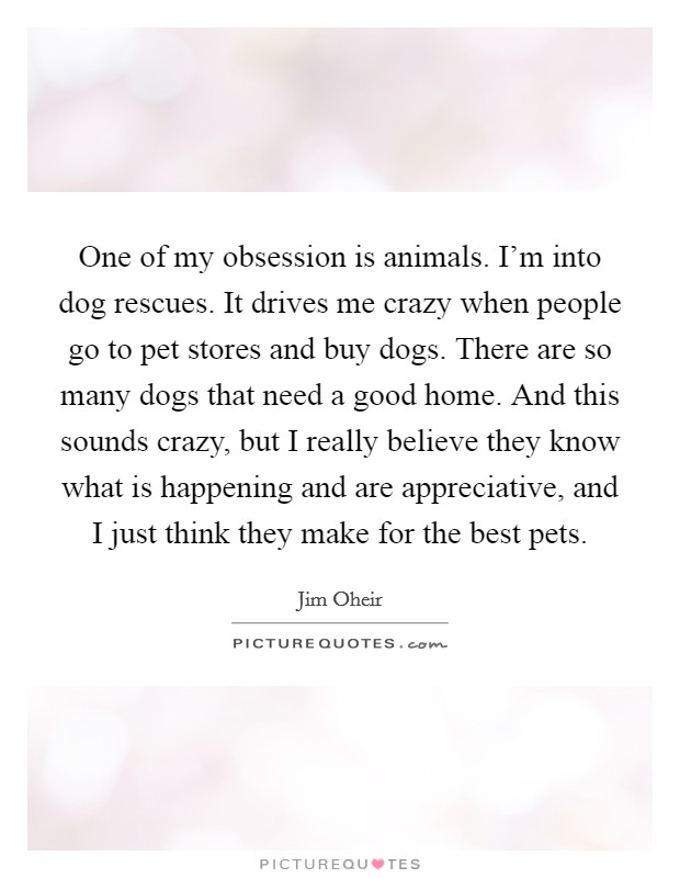 One of my obsession is animals. I'm into dog rescues. It drives me crazy when people go to pet stores and buy dogs. There are so many dogs that need a good home. And this sounds crazy, but I really believe they know what is happening and are appreciative, and I just think they make for the best pets Picture Quote #1