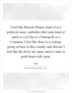 I feel like Barack Obama, kind of in a political sense, embodies that same kind of spirit as a Q-Tip or a Santogold or a Common. I feel like there is a synergy going on here in this country and abroad. I feel like the doors are open, and it’s time to push them wide open Picture Quote #1