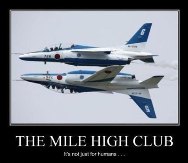 The mile high club. It's not just for humans Picture Quote #1