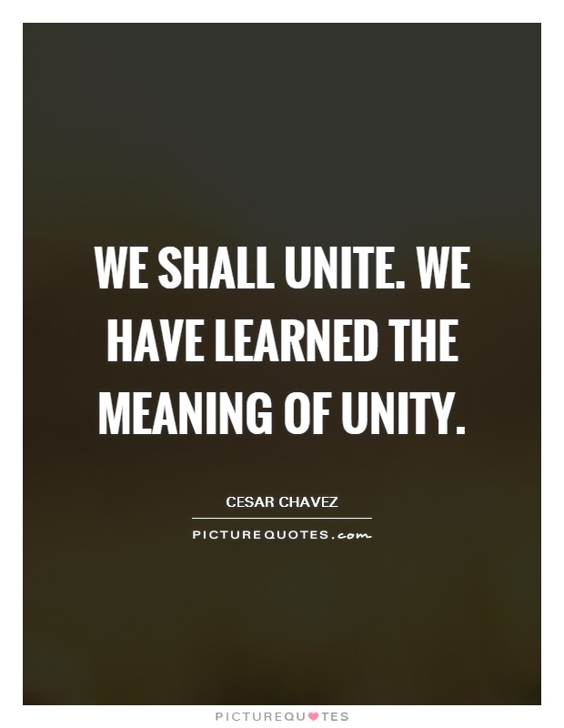 We shall unite. We have learned the meaning of Unity Picture Quote #1