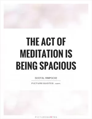 The act of meditation is being spacious Picture Quote #1