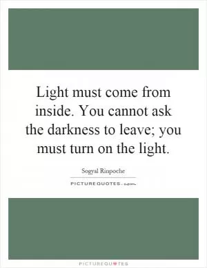 Light must come from inside. You cannot ask the darkness to leave; you must turn on the light Picture Quote #1