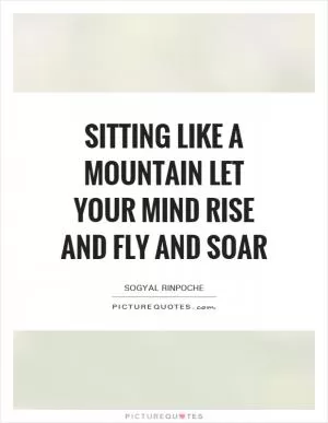 Sitting like a mountain let your mind rise and fly and soar Picture Quote #1
