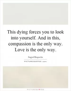 This dying forces you to look into yourself. And in this, compassion is the only way. Love is the only way Picture Quote #1