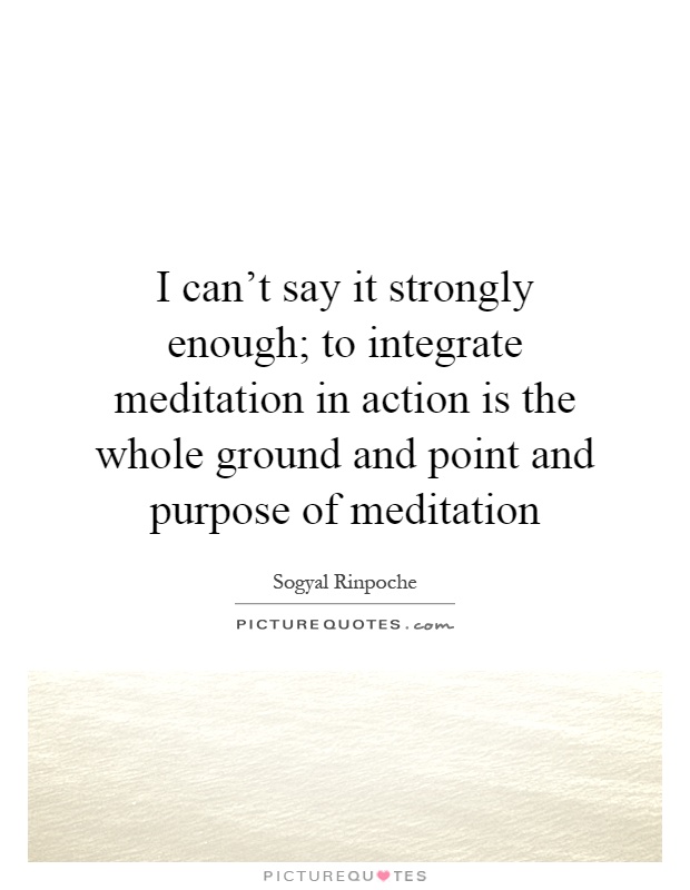 I can't say it strongly enough; to integrate meditation in action is the whole ground and point and purpose of meditation Picture Quote #1