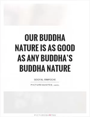 Our buddha nature is as good as any buddha’s buddha nature Picture Quote #1