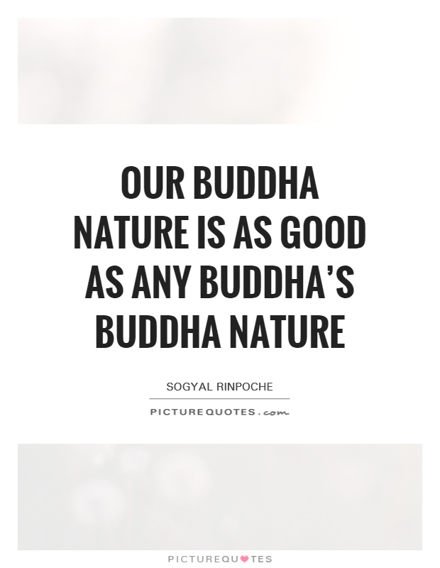 Our buddha nature is as good as any buddha's buddha nature Picture Quote #1