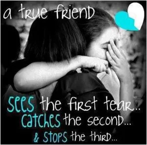 A true friend sees the first tear... catches the second and stops the third Picture Quote #1