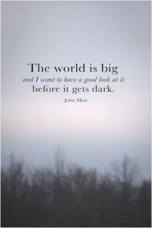 The world is big and I want to have a good look at it before it gets dark Picture Quote #1