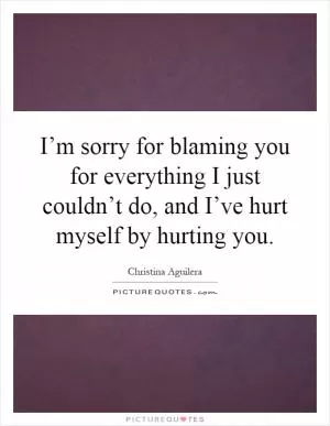 I’m sorry for blaming you for everything I just couldn’t do, and I’ve hurt myself by hurting you Picture Quote #1