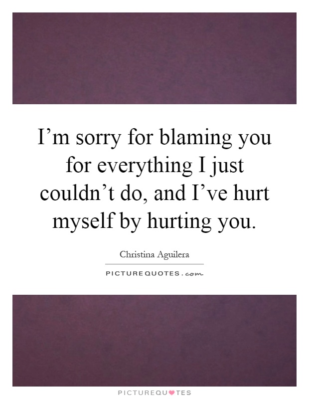 I'm sorry for blaming you for everything I just couldn't do, and I've hurt myself by hurting you Picture Quote #1