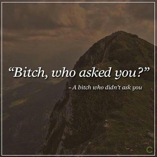 Bitch, who asked you? A bitch who didn't ask you Picture Quote #1