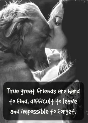 True great friends are hard to find, difficult to leave and impossible to forget Picture Quote #1