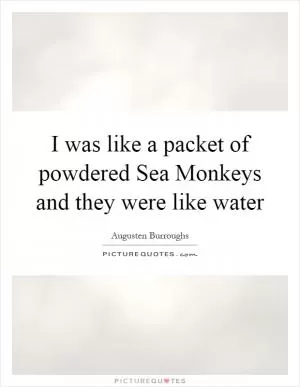 I was like a packet of powdered Sea Monkeys and they were like water Picture Quote #1